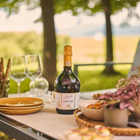 Sandi * 발도비아데네