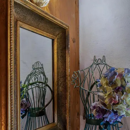 Sandi * 발도비아데네